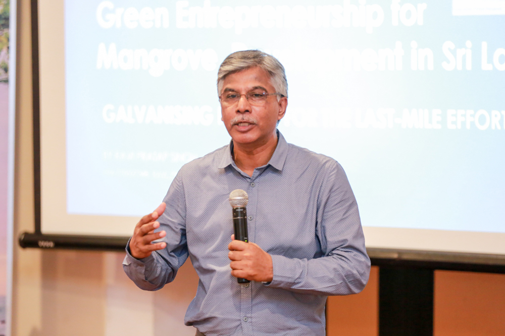 COYLE  Pioneers Green Entrepreneurship and Mangrove Restoration in Sri Lanka